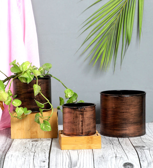 Copper Small Striped Planter Set of 3