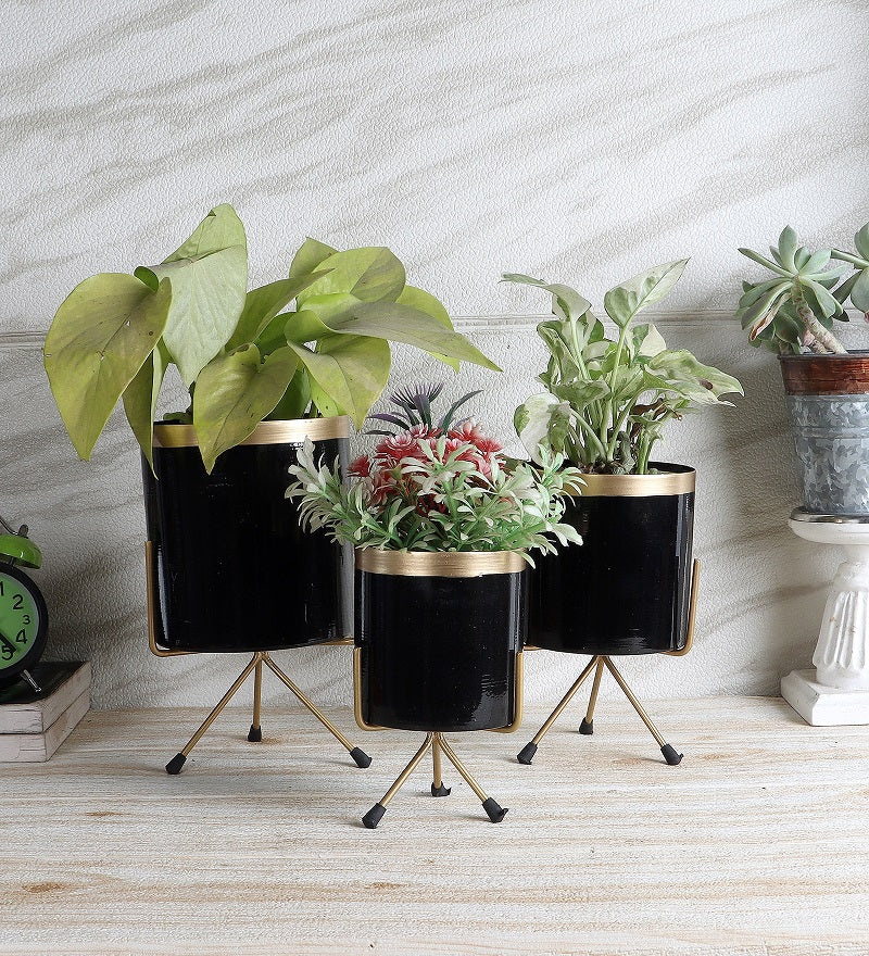 Black Pipe Planter With Stand Set of 3